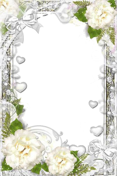 White Flower Frame Photos Transparent HQ PNG Download | FreePNGimg