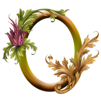 Gold Flower Frame Transparent PNG