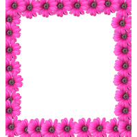 Pink Flower Frame Photo Transparent PNG Image