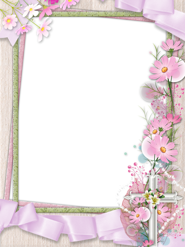Pink Flower Frame Transparent Picture PNG Image