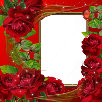Red Flower Frame PNG