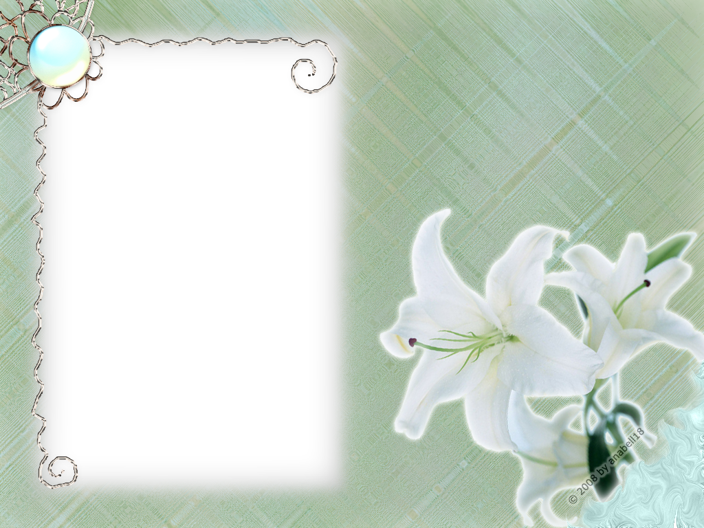 Download White Flower Frame Transparent HQ PNG Image | FreePNGImg