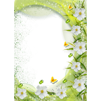 White Flower Frame Transparent Background PNG
