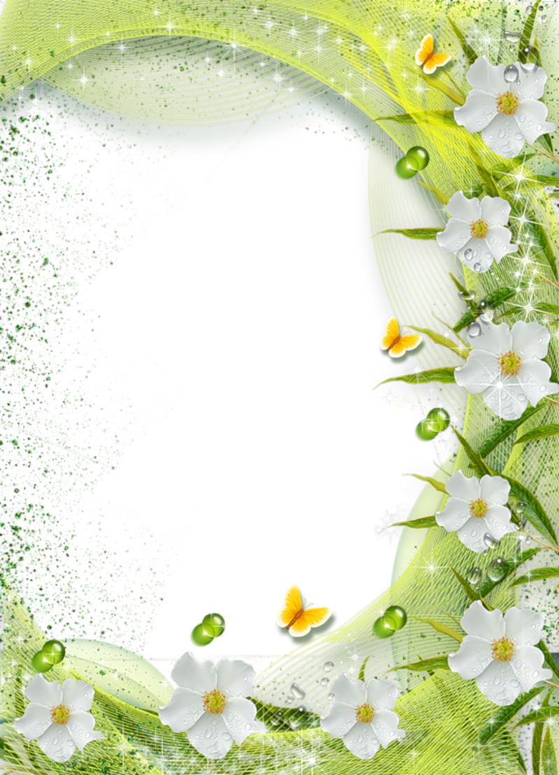 Download White Flower Frame Transparent Background HQ PNG Image
