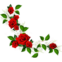 Red Flower Frame PNG