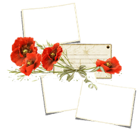 Poppy Frame Flower PNG File HD PNG