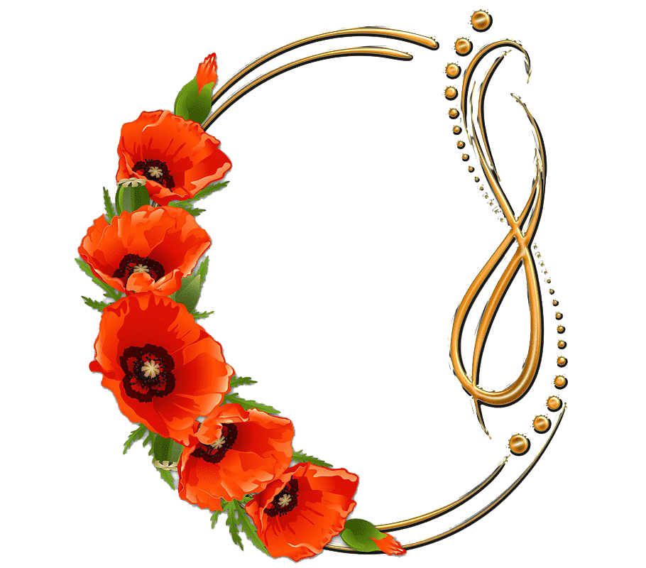 Poppy Frame Flower Round Free HQ Image PNG Image
