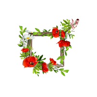 Poppy Frame Flower Free Download PNG HQ