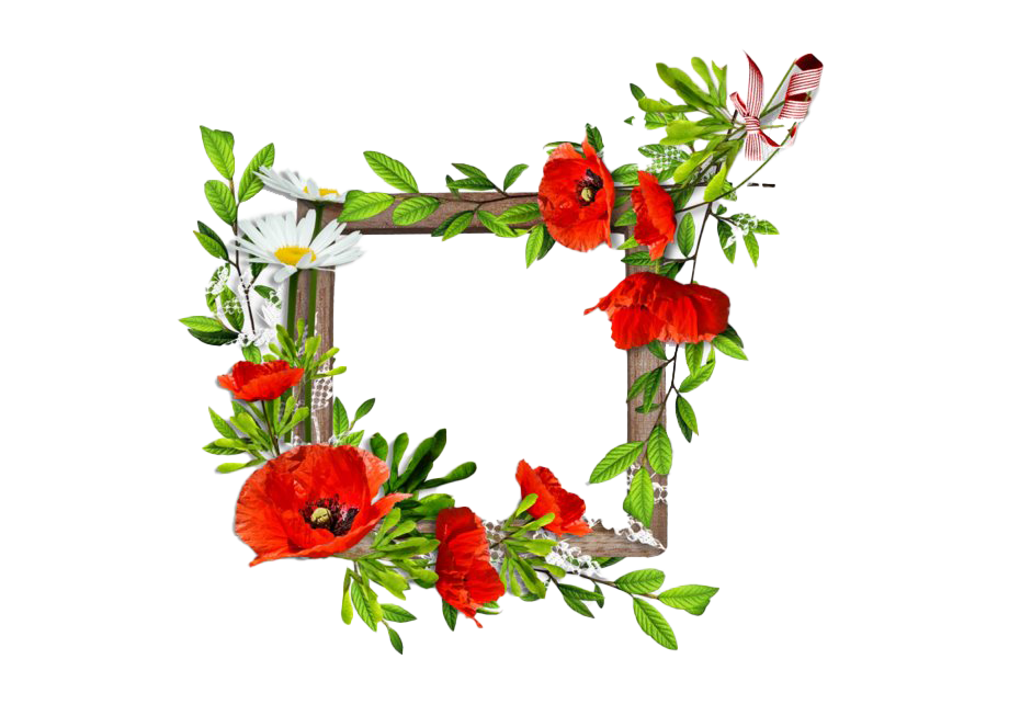 Poppy Frame Flower Free Download PNG HQ Transparent PNG Image