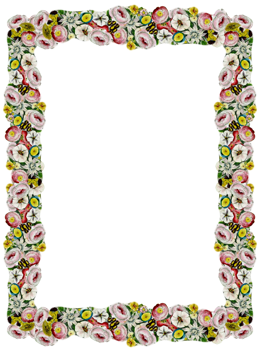 Girly Border Free Photo PNG Transparent PNG Image