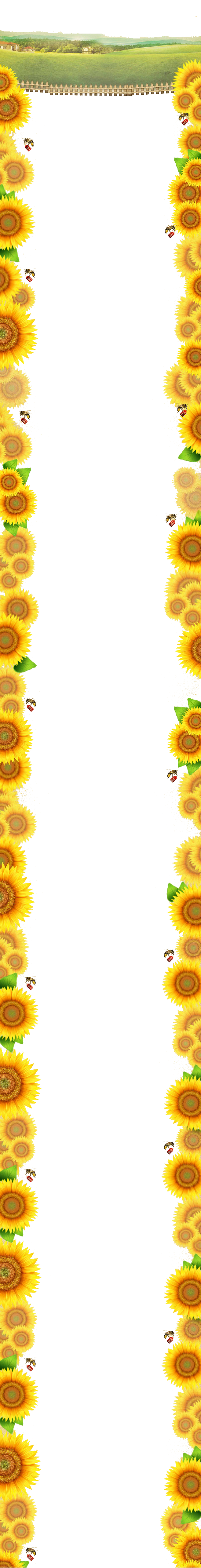 Angle Sunflower Area Pattern Yellow Border PNG Image