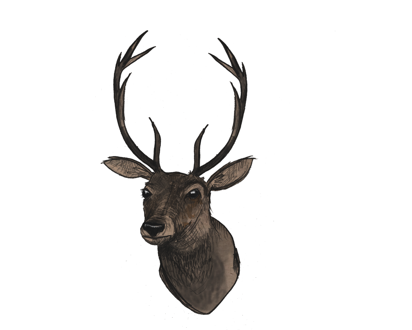 Deer Head File PNG Image