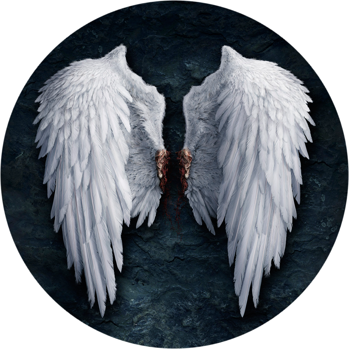Download Feather Lucifer Castiel Angel Wing Png File Hd Hq Png Image Freepngimg