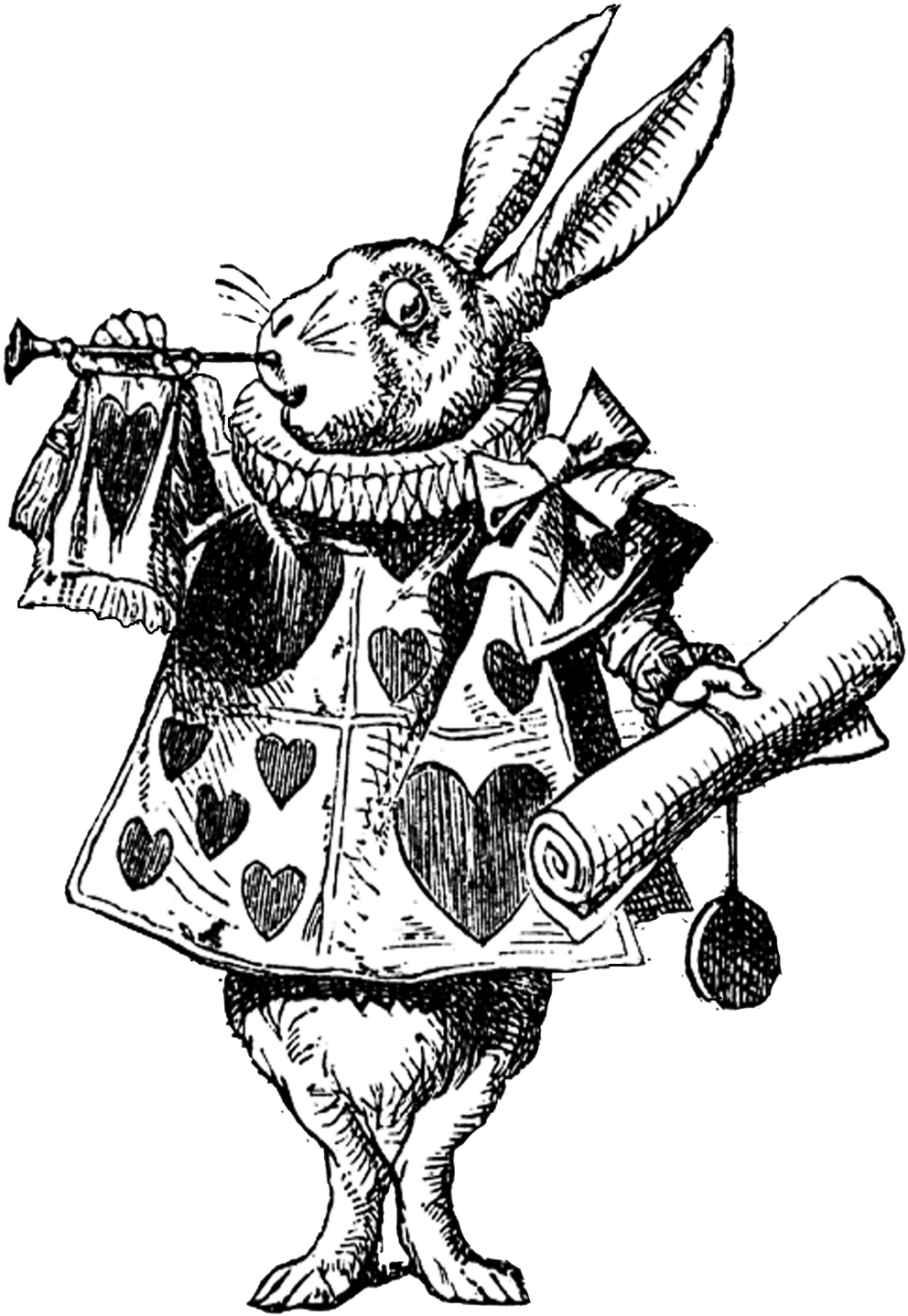 Wonderland Alice Rabbit In Free Download PNG HD PNG Image