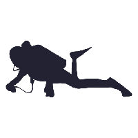 Diver PNG