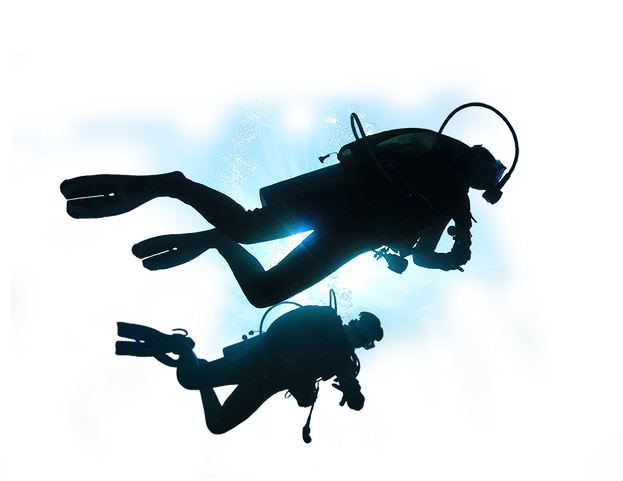 Diver Transparent PNG Image