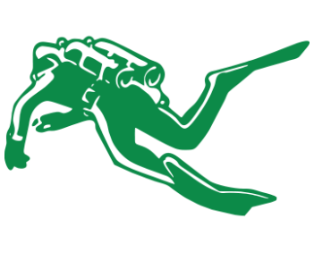 Diver Transparent PNG Image