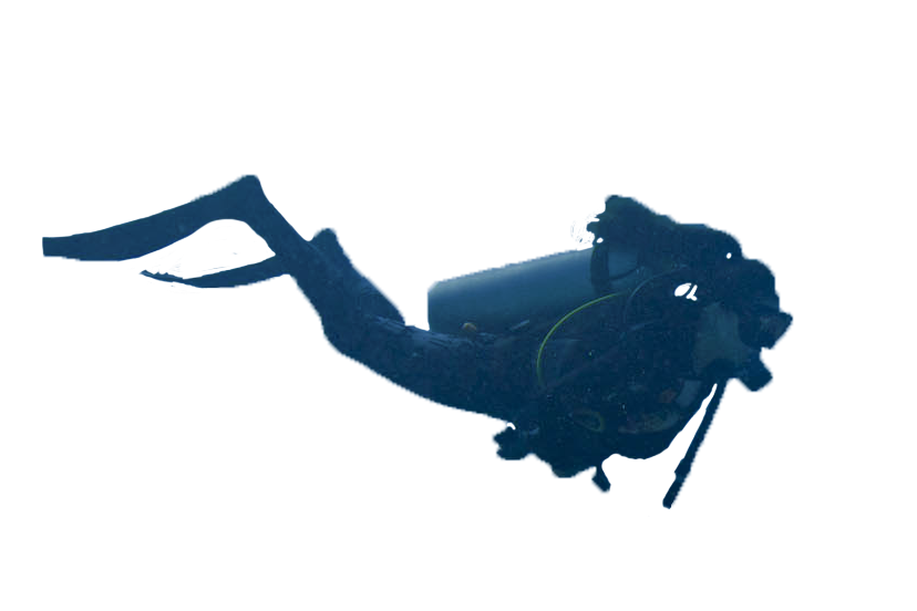 Diver Transparent PNG Image