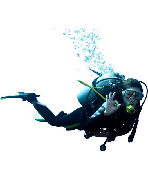 Diver Transparent PNG Image