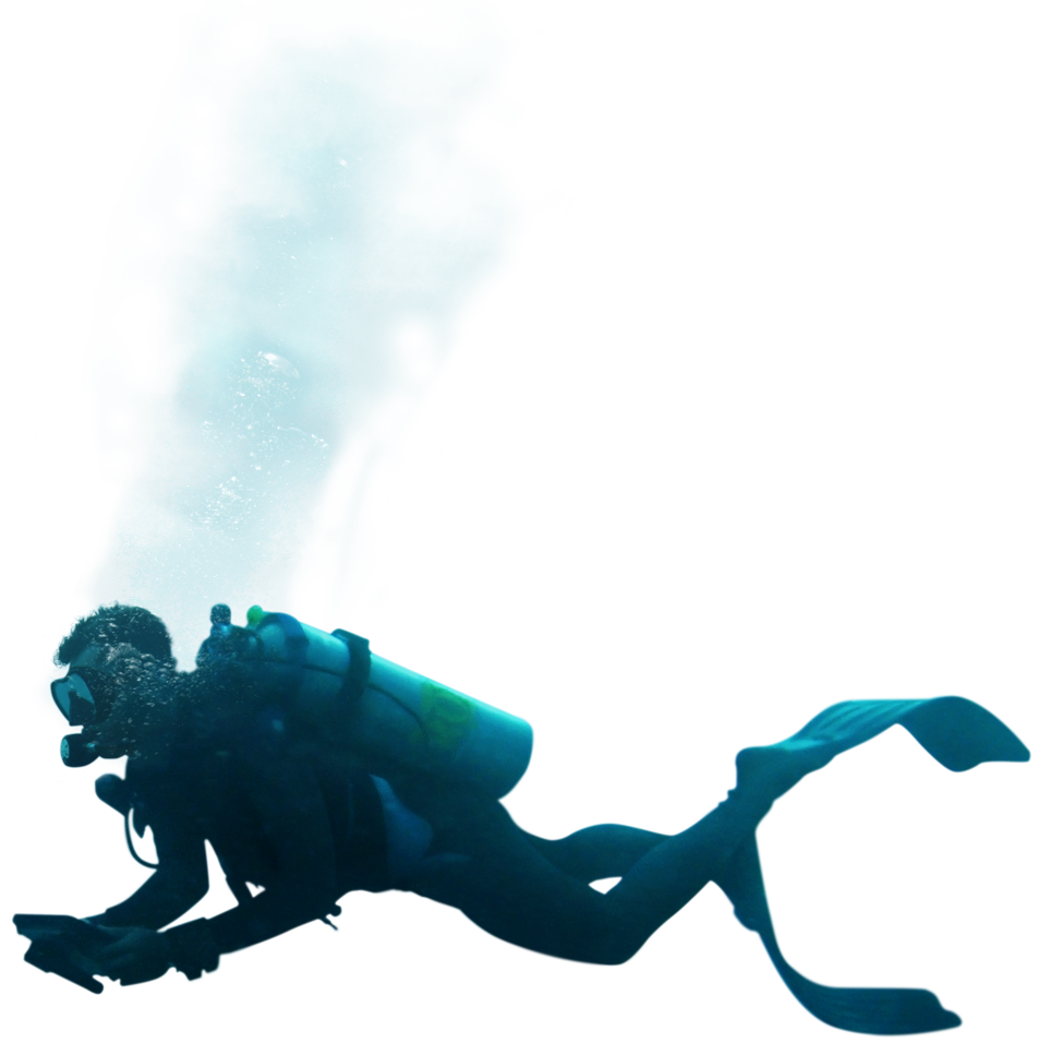 Diver Transparent PNG Image