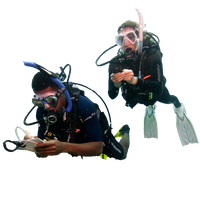 Diver PNG