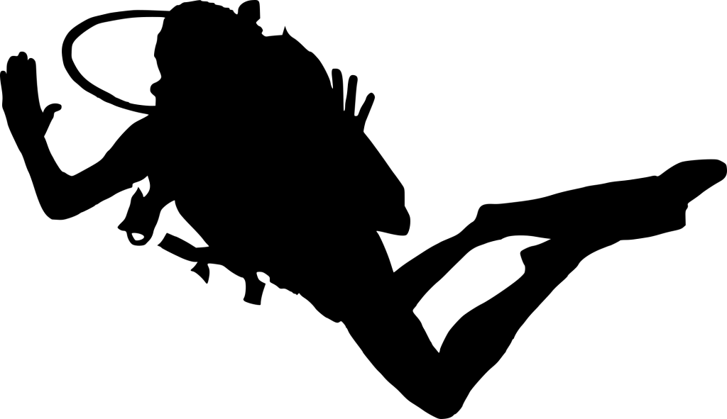 Diver Transparent PNG Image