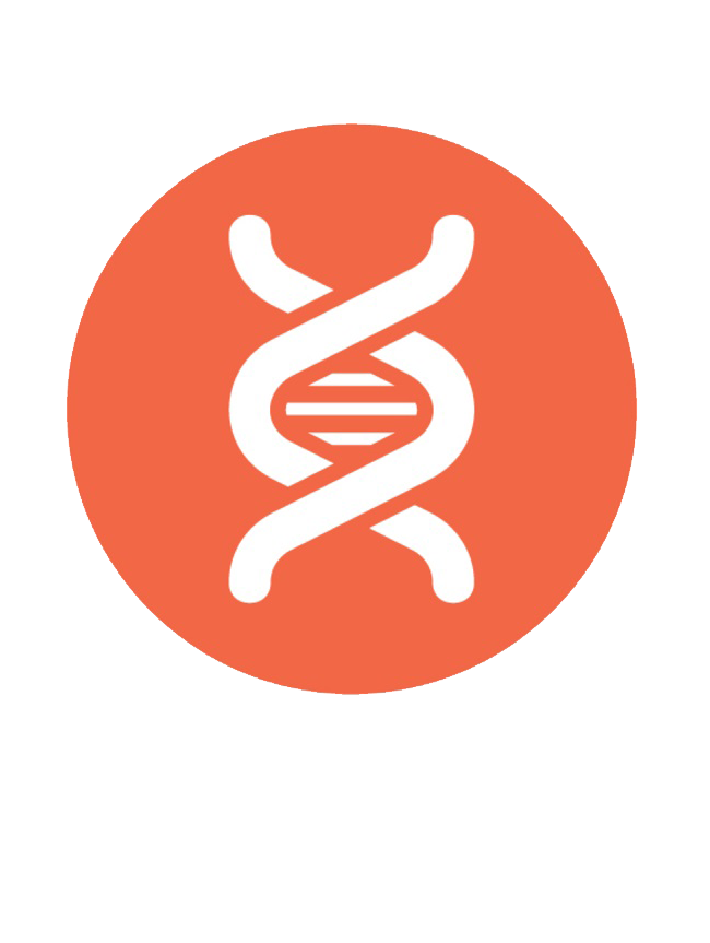 Dna Transparent PNG Image