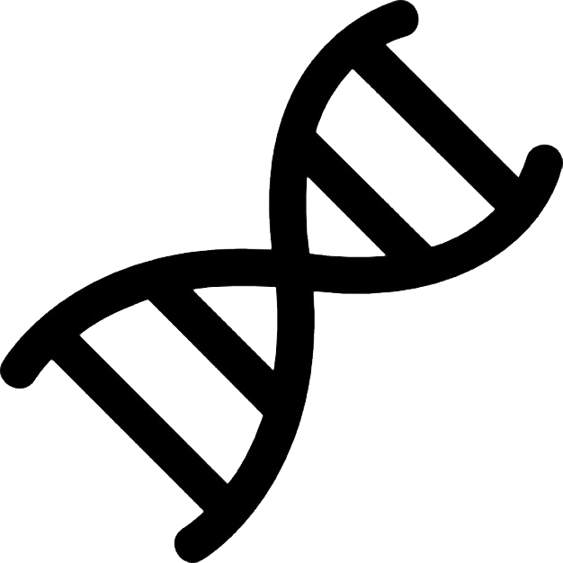 Dna Transparent PNG Image