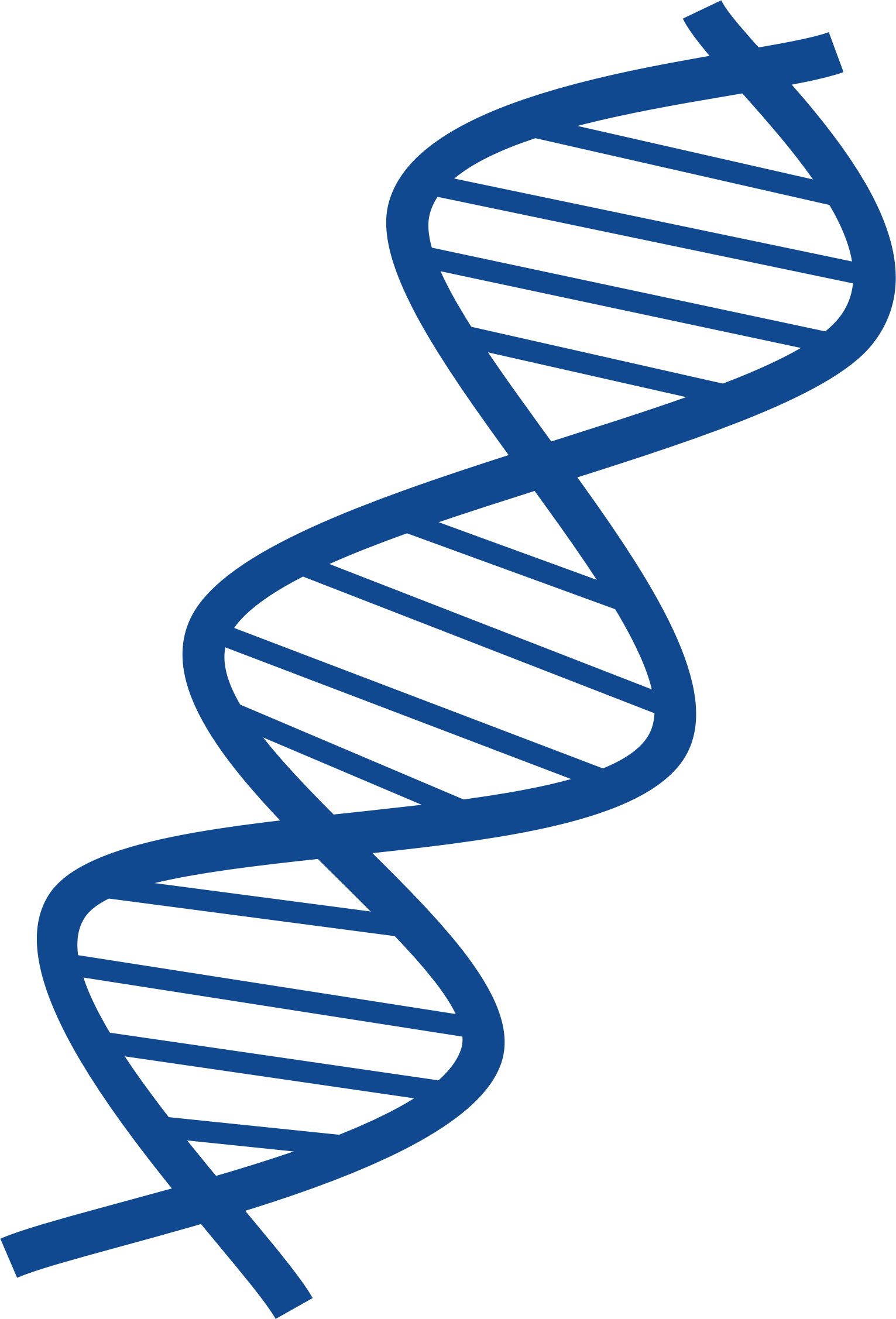 Dna Transparent PNG Image