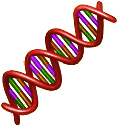 Dna Transparent PNG Image