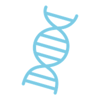 Dna PNG