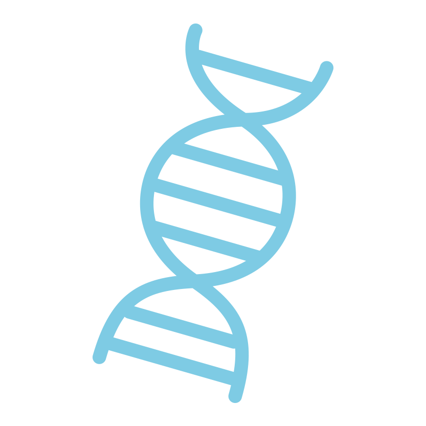 Dna Transparent PNG Image