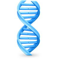 Dna PNG