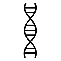 Dna PNG