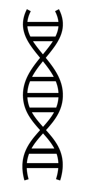 Dna Transparent PNG Image
