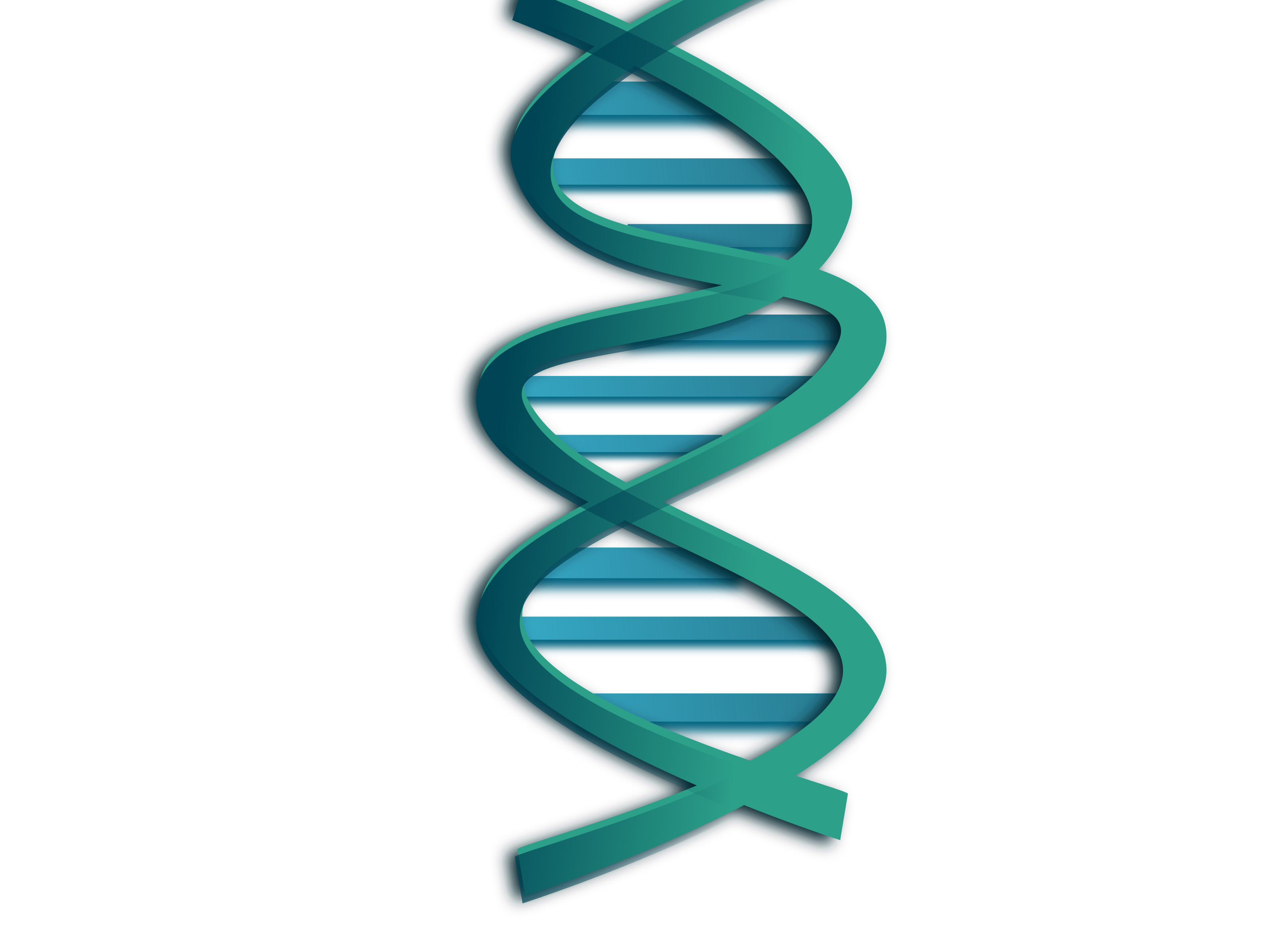 Dna Transparent PNG Image