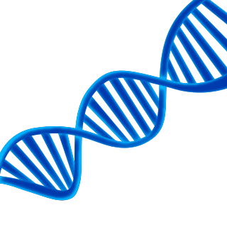 Dna Transparent PNG Image