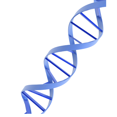 Dna Transparent PNG Image