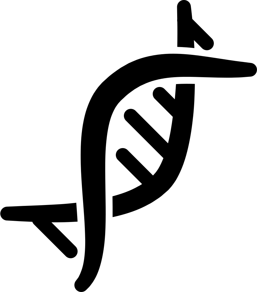 Dna Transparent PNG Image
