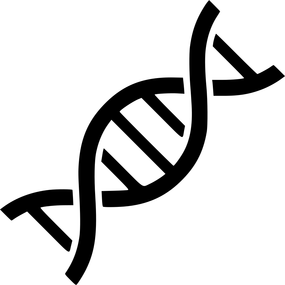Dna Transparent PNG Image