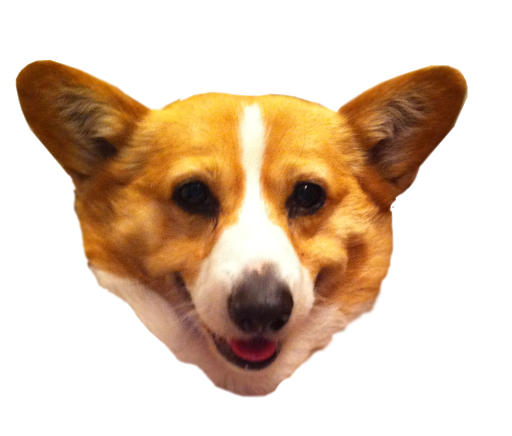 Cute Dog Corgi HQ Image Free PNG Image