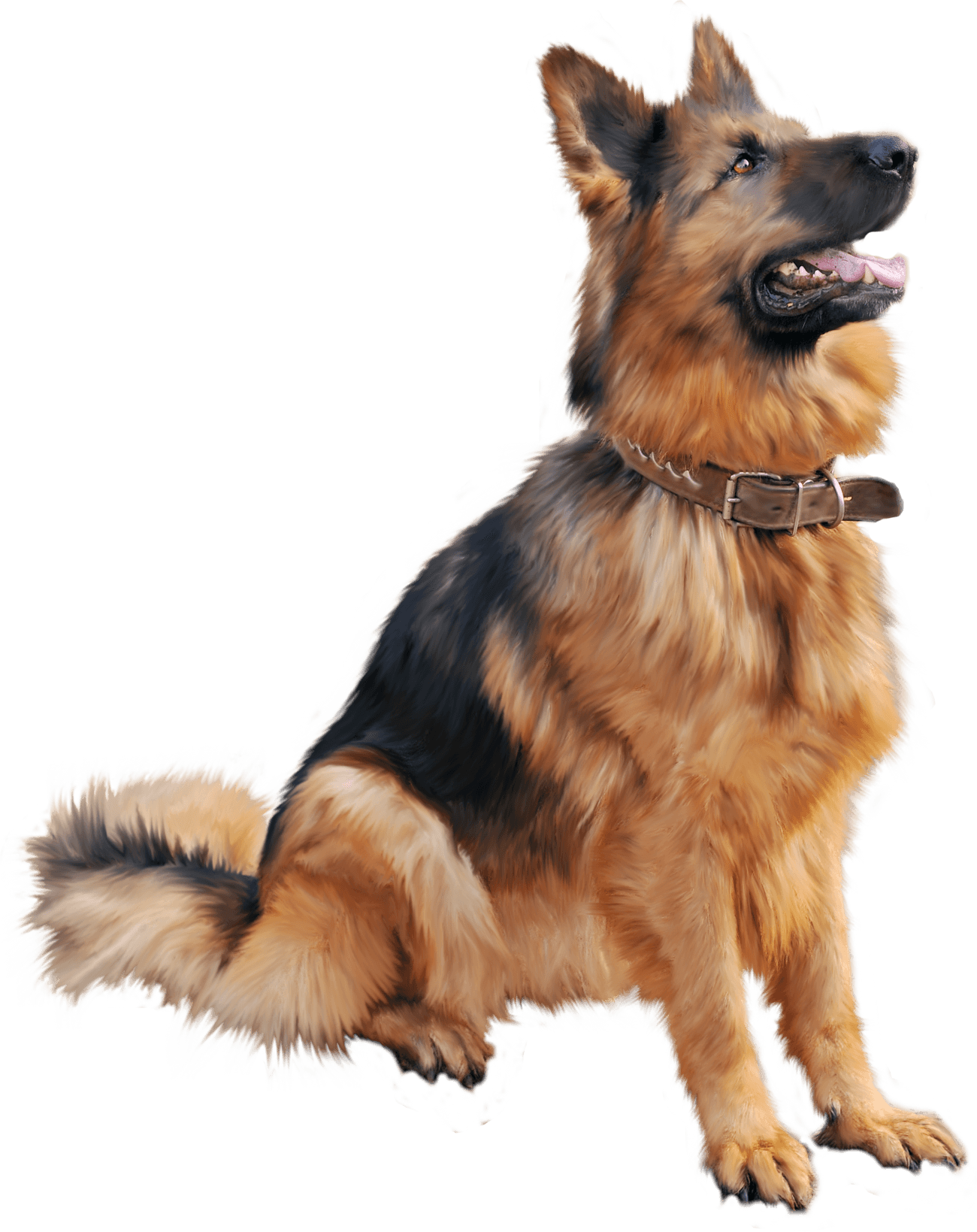 Download Dog Png Image Picture Download Dogs Hq Png Image Freepngimg ...