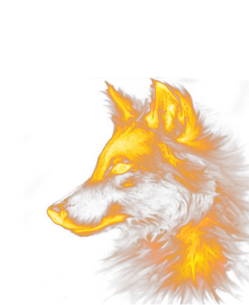 Fox Dog Wolf Red Special Effects PNG Image