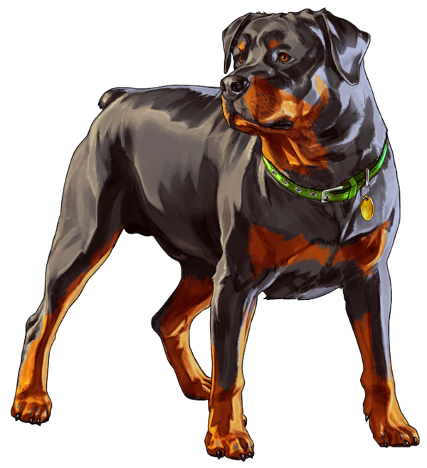 Andreas San Auto Grand Dog Theft Online PNG Image