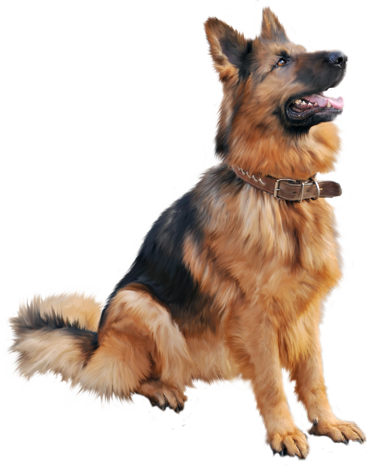 Dog Transparent PNG Image