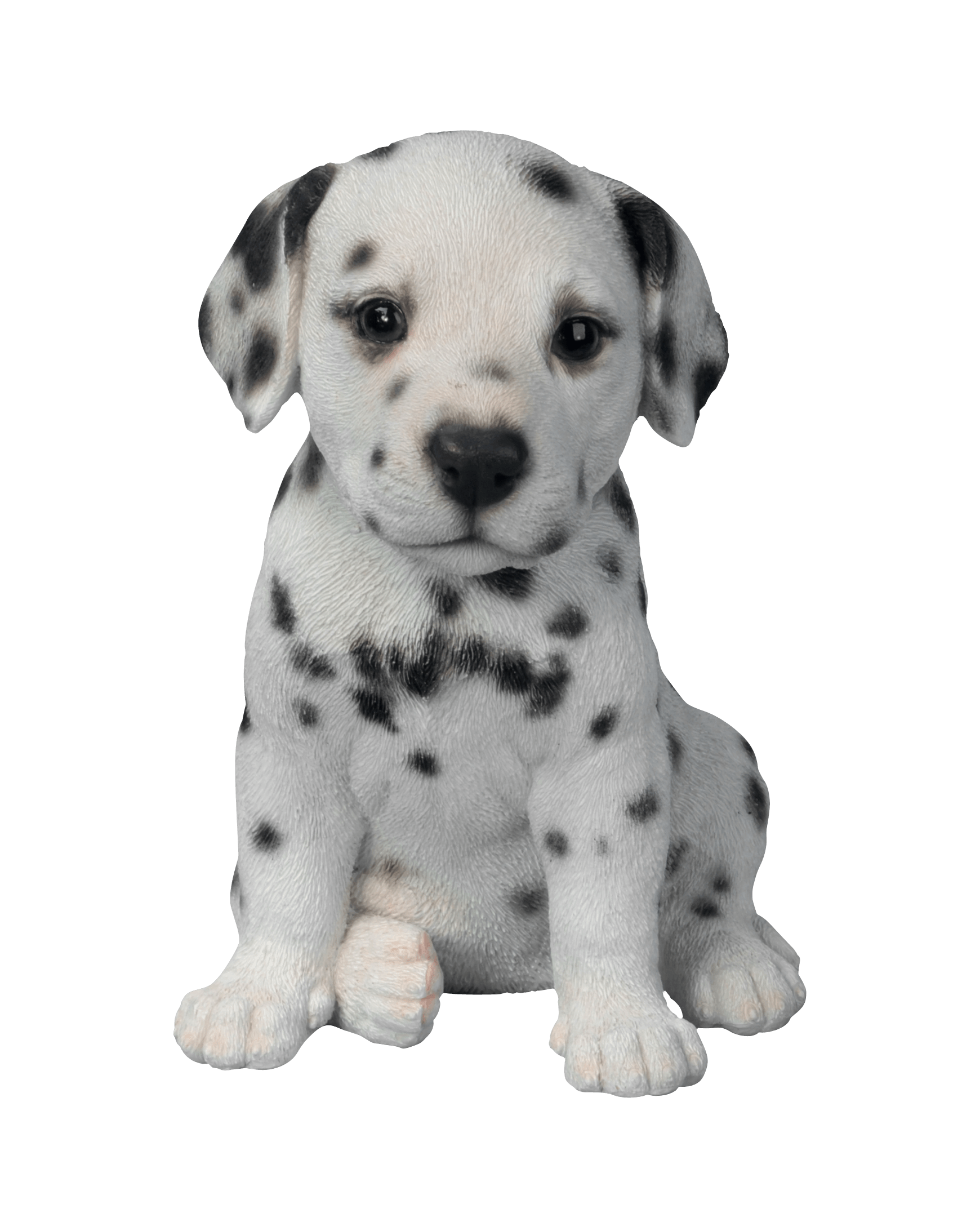 Dog Transparent PNG Image