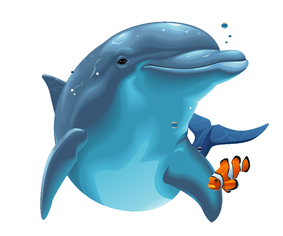 Download Dolphin Png Image HQ PNG Image | FreePNGImg