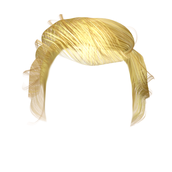 Download Hair Wig Blond Accessory Free Clipart HD HQ PNG Image | FreePNGImg