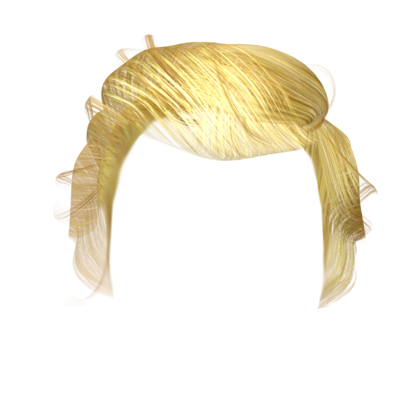 Free Cut Hair Roblox PNG Image With Transparent Background png - Free PNG  Images