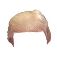 Download Donald Trump Free PNG photo images and clipart | FreePNGImg